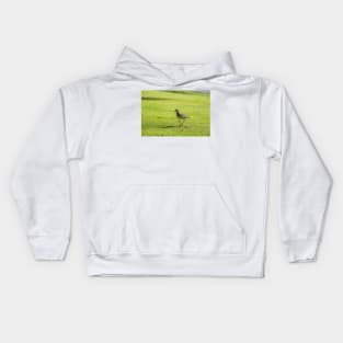 Sharp-tailed sandpiper Kids Hoodie